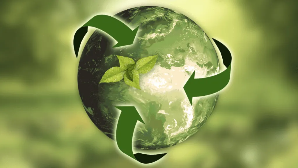 How the Circular Economy is Transforming Procurement Practices